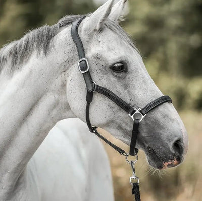 Kalendarz Adwentowy dla Koni - 2025